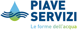 PIAVE SERVIZI S.P.A.